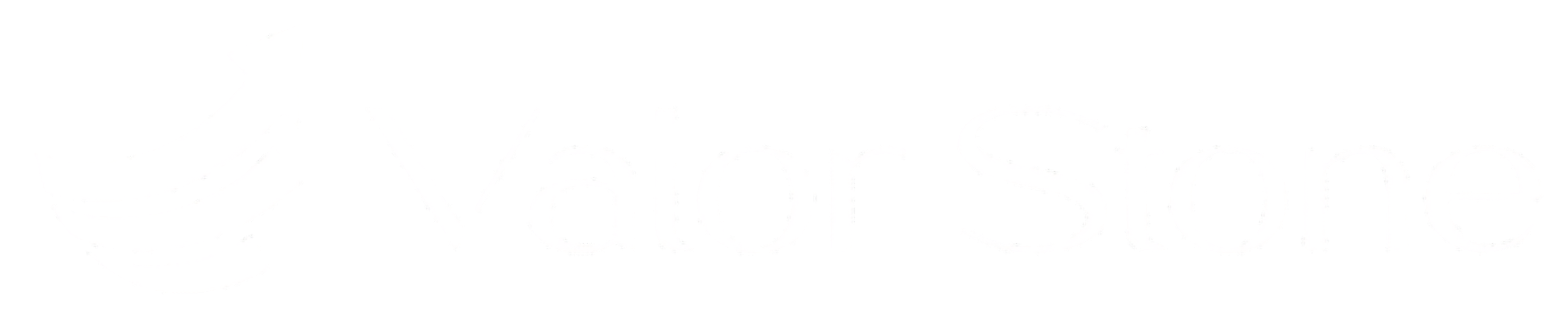 Valor Stone Trade  Logo